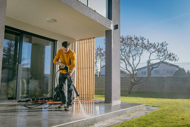 Best Pre-Holiday Cleaning  in Enola, PA